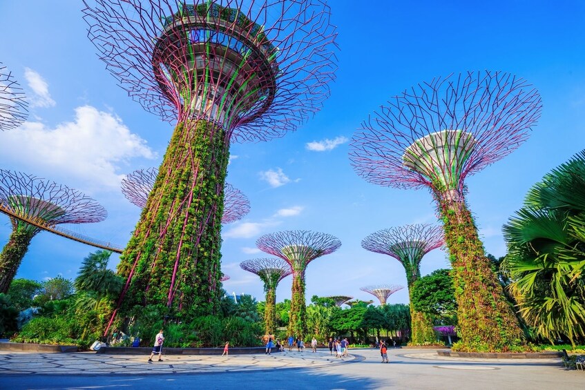 Must see Singapore in a day