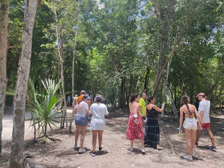 4x1 Tour Tulum,Coba,Cenote & Playa del Carmen