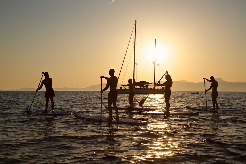 Rent a Kayak or a Paddle Surf board in Playa de Palma