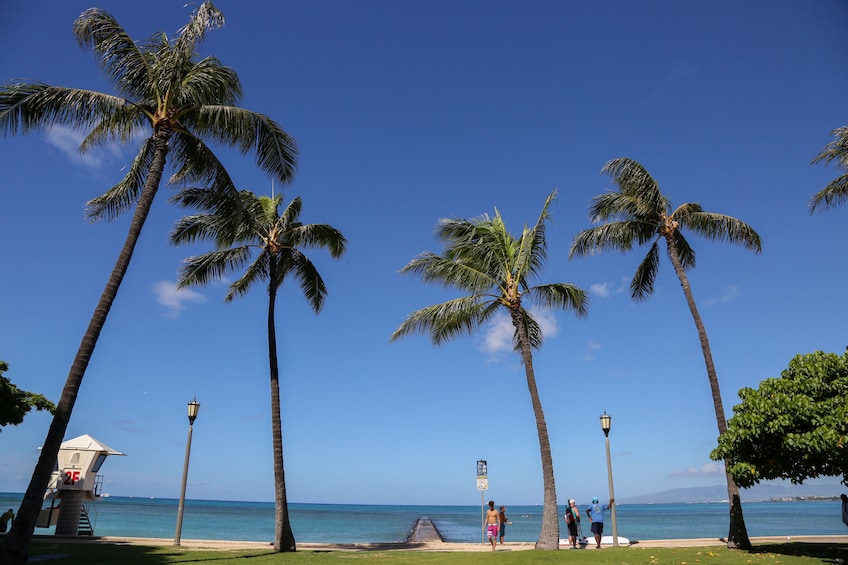 Oahu Stand-Up Paddling - Semi-Private Lesson with a Pro