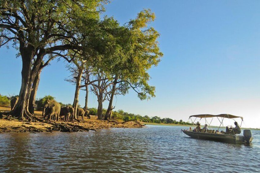 Chobe Sunset Cruise From Victoria Falls