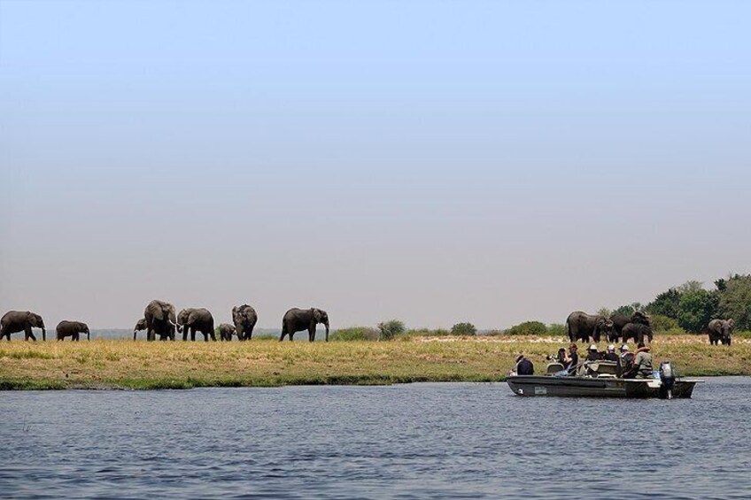 Chobe National Park and Impalila Island Day Tour from Victoria Falls