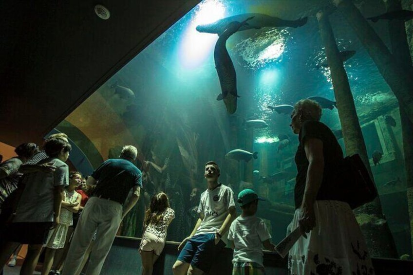 Zaragoza Aquarium Admission Ticket