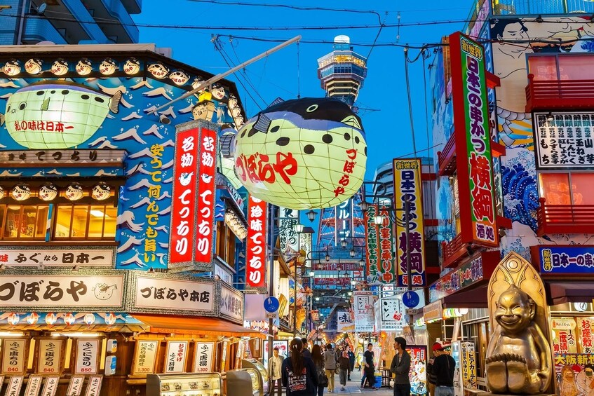 Private & Personalised Full Day in Osaka with a Local