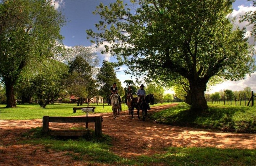 Gaucho Day Ranch Tour in El Ombu de Areco from Buenos Aires