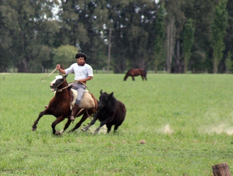 Gaucho Day Ranch Tour in El Ombu de Areco from Buenos Aires