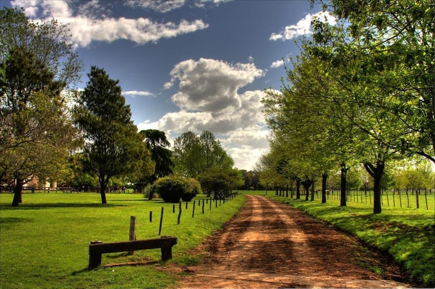 Gaucho Day Ranch Tour in El Ombu de Areco from Buenos Aires