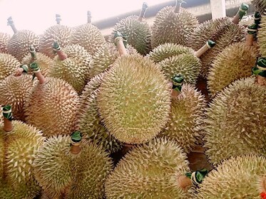 Special Tour: Round Island Discovery + Durian Buffet Tour