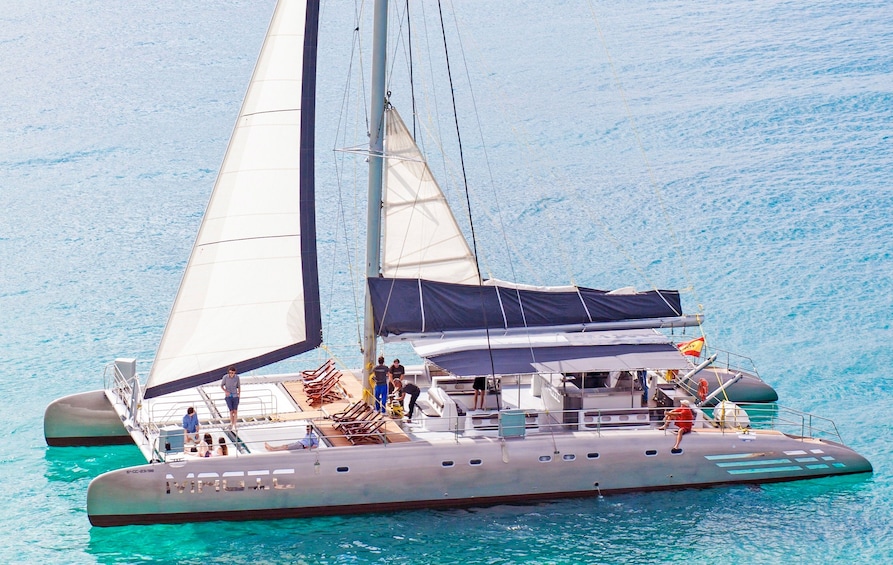 The Magic catamaran 