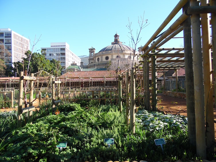 Kirstenbosch and Company Gardens