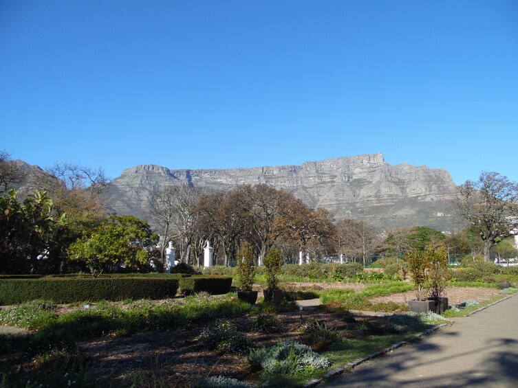 Kirstenbosch and Company Gardens