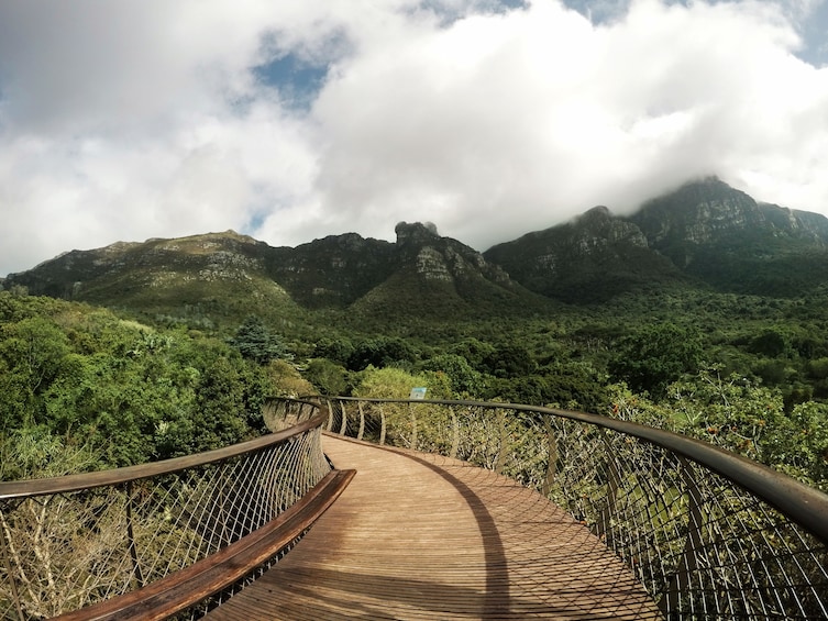 Kirstenbosch and Company Gardens