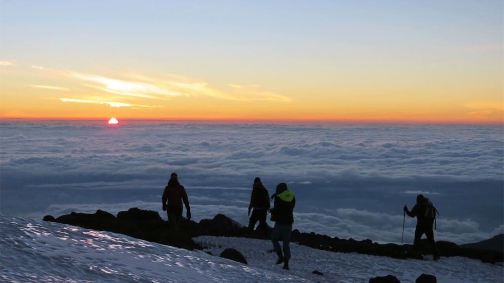 8 Day Kilimanjaro Climb - Machame route