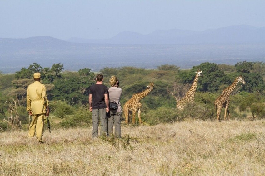 10-DAY GRAND TRAVERSE - KILIMANJARO CLIMB     