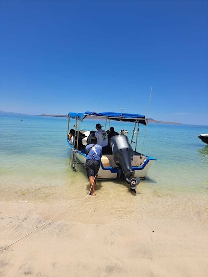 La Paz paradise, Balandra Beach & beyond
