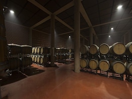 Super Tuscan wine tour from Livorno, Lucca, Pisa & Piombino