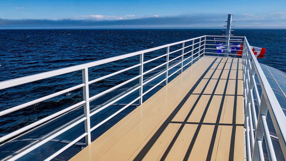 Tadoussac/Charlevoix: 3-Hour Whale Watching Boat Tour