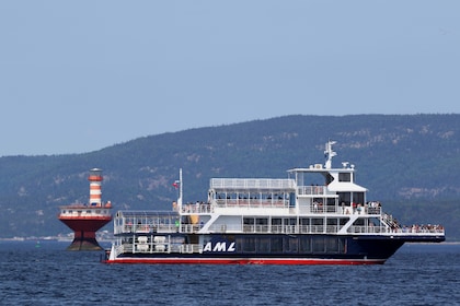 Boat Whale Watching Cruise -Tadoussac or Baie-ste-Catherine