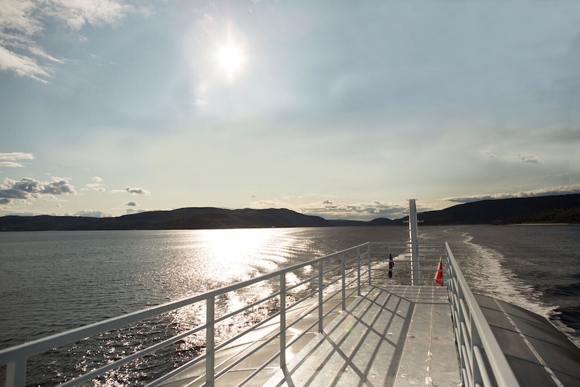 Boat Whale Watching Cruise -Tadoussac or Baie-ste-Catherine