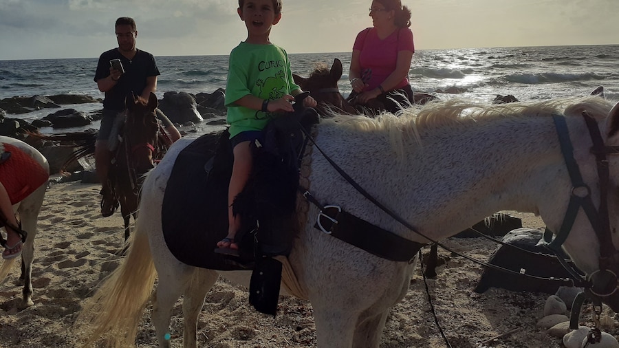 Rise and Shine "Sunrise Horseback riding"