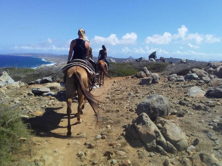 Rise and Shine "Sunrise Horseback riding"