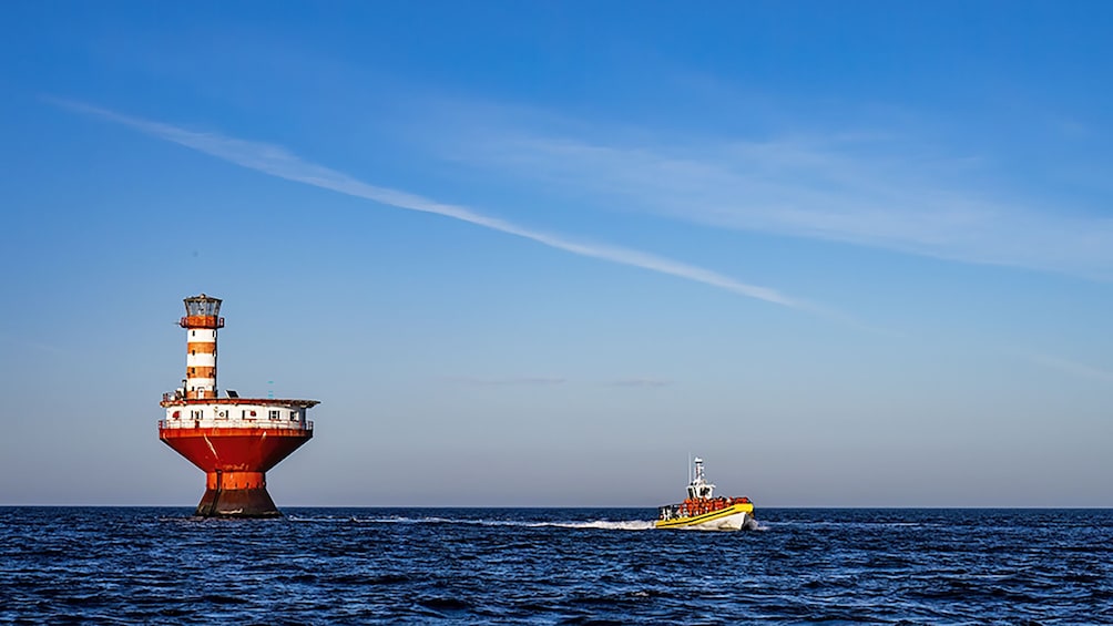 Tadoussac/Charlevoix: 2.5-Hour Zodiac Whale Watching Tour