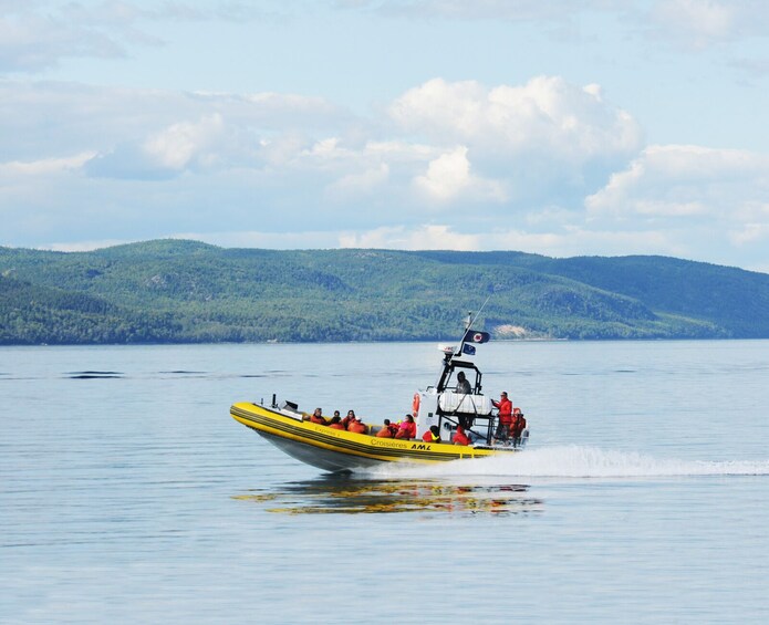 2.5H Zodiac Whale Watching Cruise - Tadoussac or Baie-Ste-C.