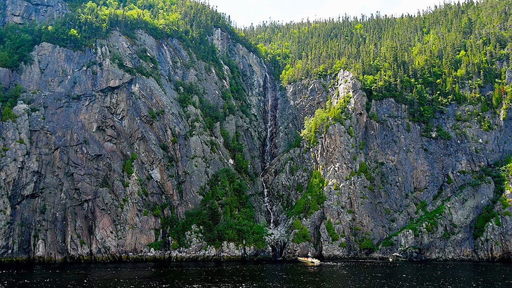 Tadoussac/Charlevoix: 2.5-Hour Zodiac Whale Watching Tour