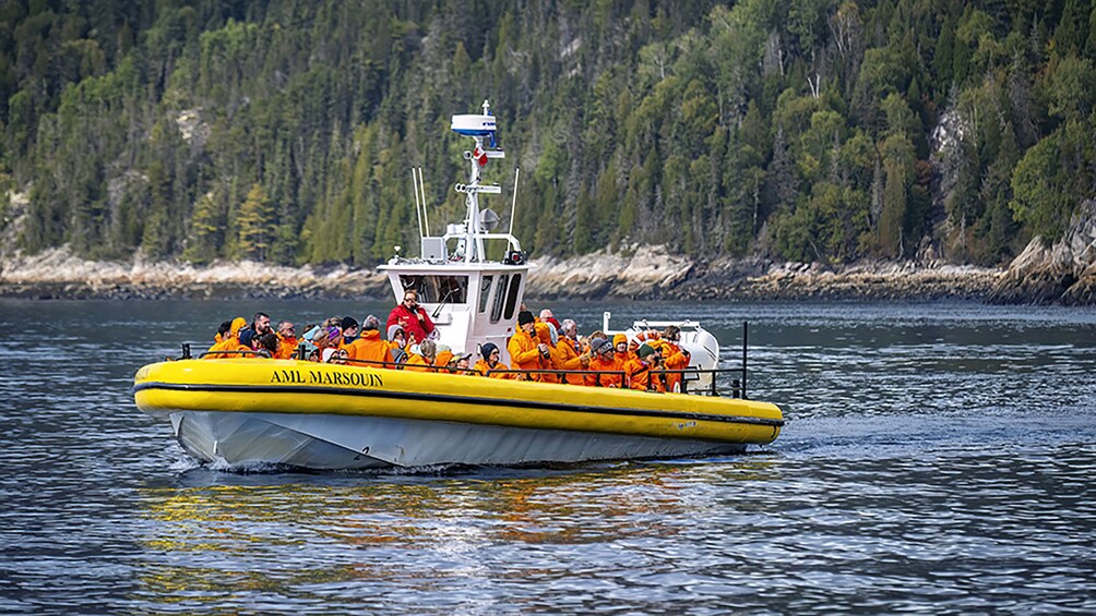Tadoussac/Charlevoix: 2.5-Hour Zodiac Whale Watching Tour