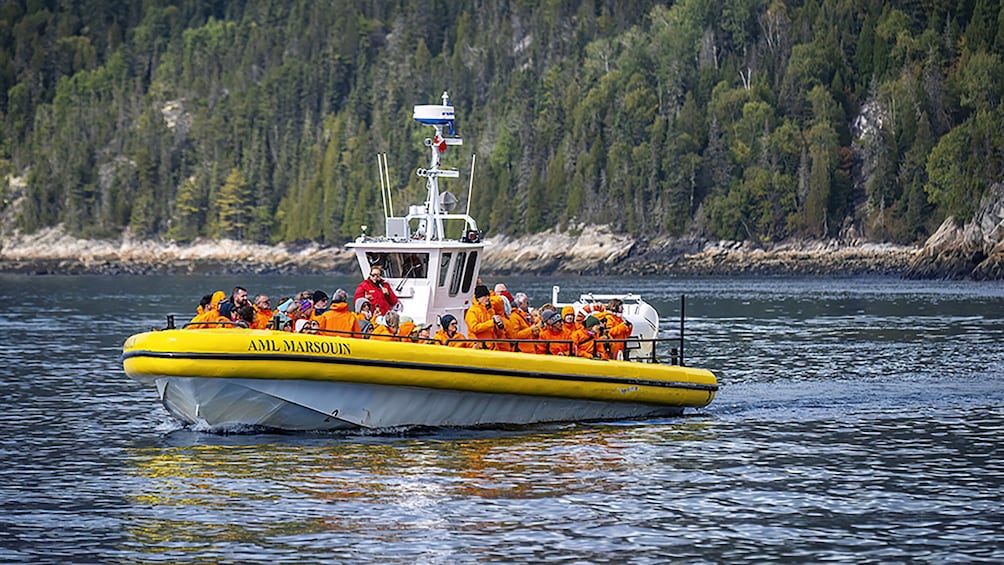Tadoussac/Charlevoix: 2.5-Hour Zodiac Whale Watching Tour