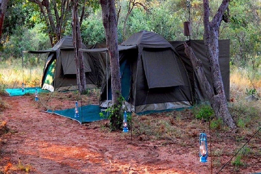 4 Days Camping Safari To  Manyara,Serengeti and  Ngorongoro.