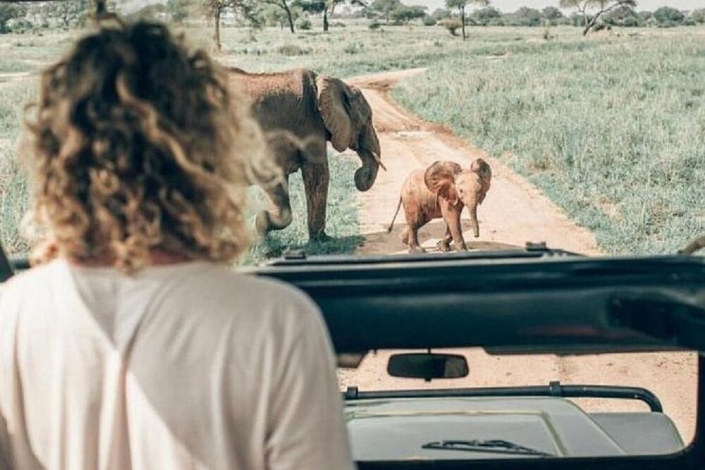 4 Days Camping Safari To  Manyara,Serengeti and  Ngorongoro.