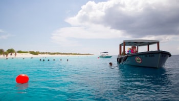 Cruise, Beach & Snorkel Tour
