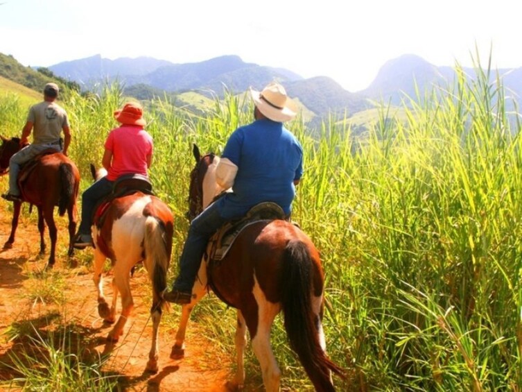 HORSEBACK RIDE