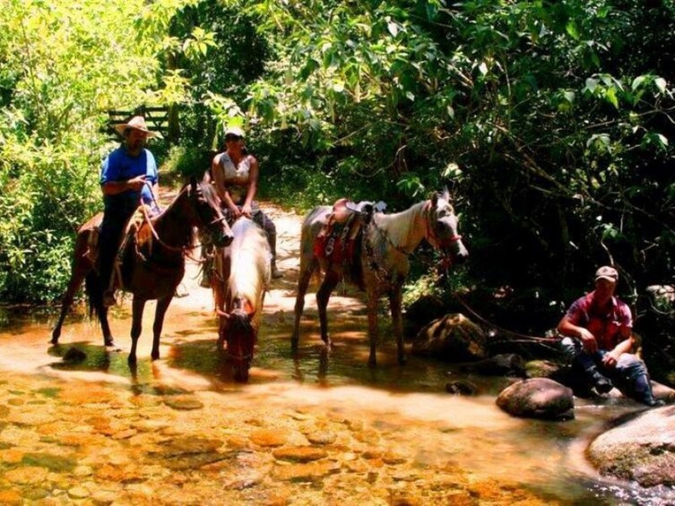 HORSEBACK RIDE