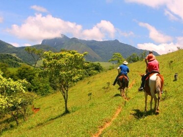 Horseback Ride Tour in Paraty