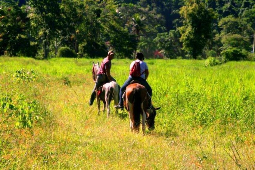 HORSEBACK RIDE