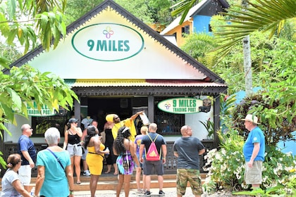 Tour guidato del Bob Marley's Nine Mile con ingresso