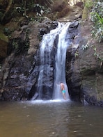 Waterfalls Circuit in Tijuca Rainforest