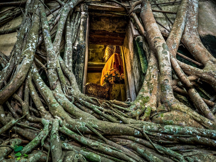 Amphawa Floating Market & Maeklong Market Small Group Tour