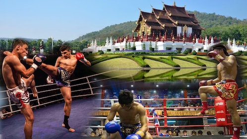 Stadion Tinju Thapae Muay Thai di Chiang Mai