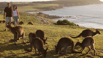 2Day/2Night "Discover Kangaroo Island"