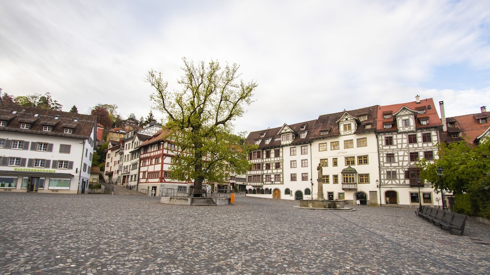 Show item 4 of 6. Historical Walk through St. Gallen's Old Town with a Local