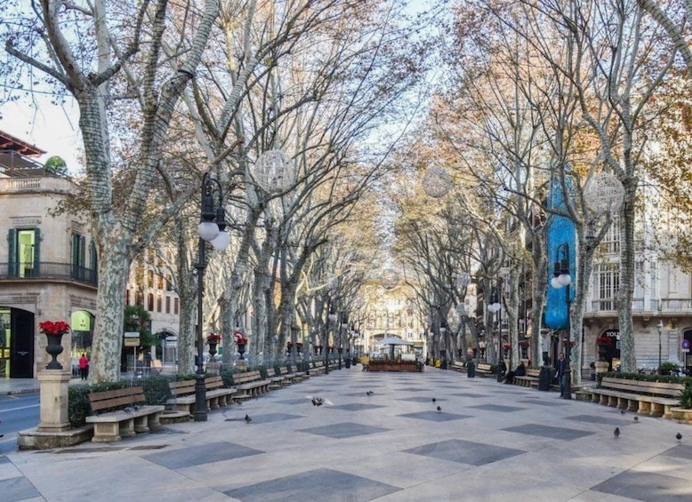 Palma CityXperience Old Town Route and Cathedral Visit