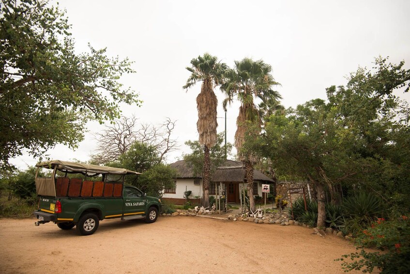 3 Day Classic Kruger National Park Safari