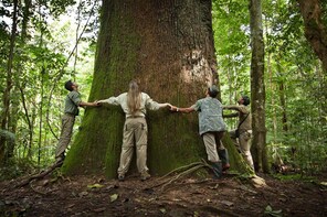 Amazon Hike Full-Day Trekking & Anavilhanas from Manaus