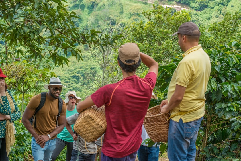 Private Tour: Medellin Coffee Experience and Workshop