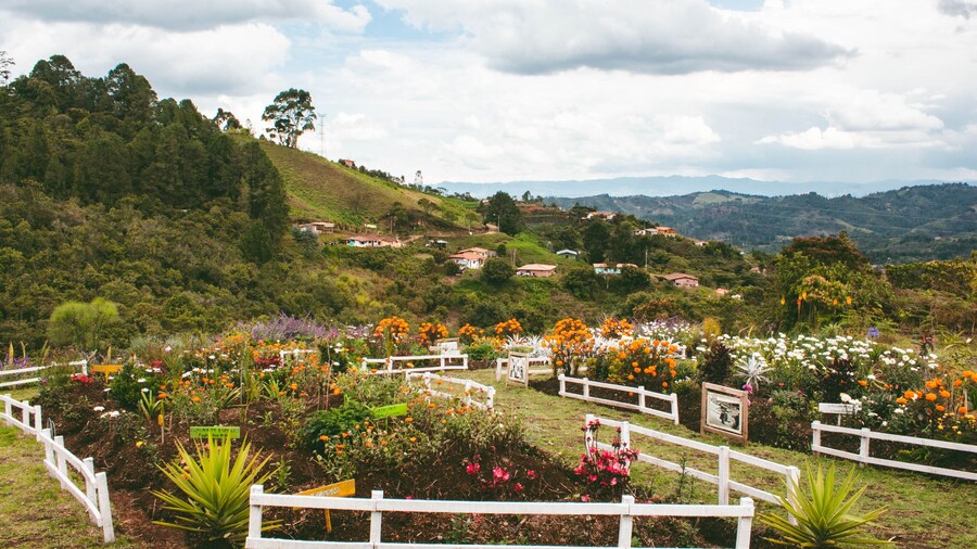 Private Tour: Medellin Flower Experience in Santa Elena