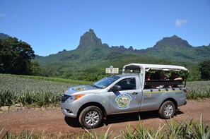 Safari Tour 4x4