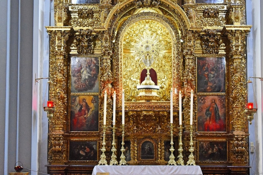 Discover Xochimilco, Coyoacán and Frida Kahlo Museum